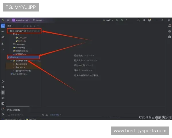 Python实时监控脚本开发与性能优化全指南